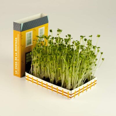 La Casa de la Mostaza - Kit de Microplantas