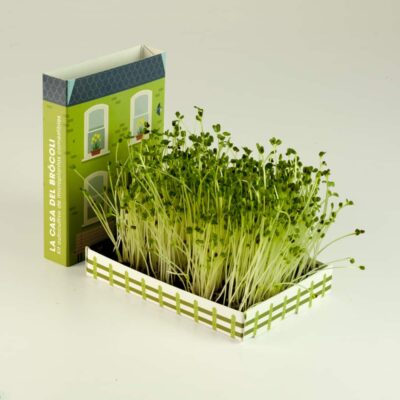 La Casa del Brócoli - Kit de Microplantas