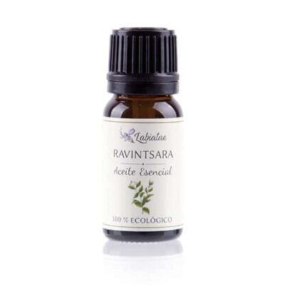 Aceite Esencial de Ravintsara | Refuerzo Inmunológico y Bienestar Respiratorio